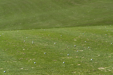 Image showing golf balls and green