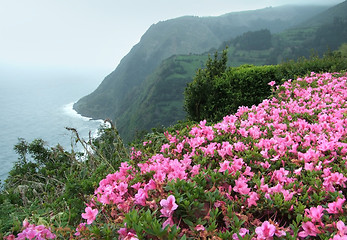 Image showing misty coastal scenery at the Azores