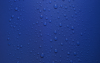 Image showing dew in blue back