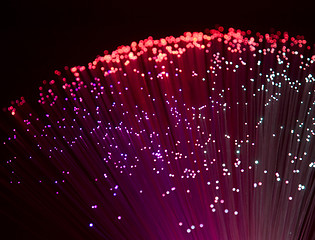 Image showing plastic optical fibers