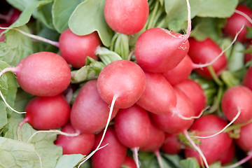 Image showing full frame radish background