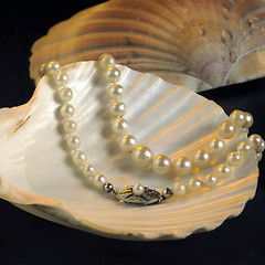 Image showing seashell and pearl necklace