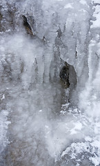 Image showing ice background