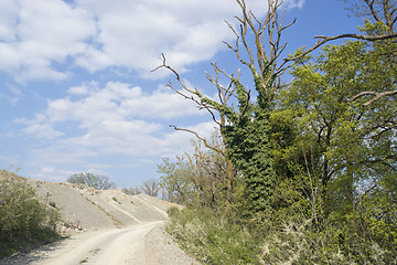 Image showing sunny scenery near stone pit