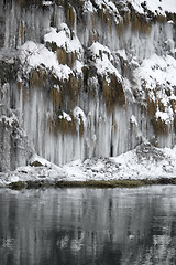 Image showing lots of icicles