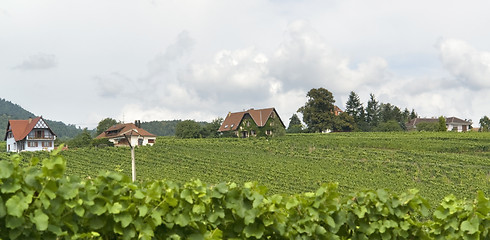 Image showing Mittelbergheim