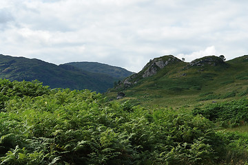 Image showing idyllic scottish scenery