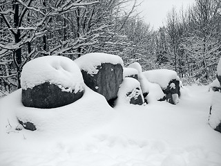 Image showing snow covered landscape and stones