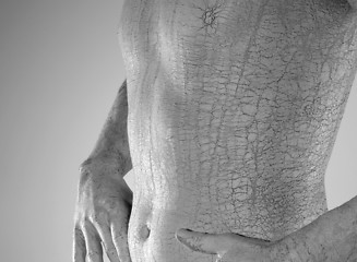 Image showing bodypainted male torso detail