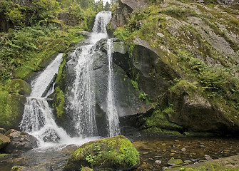 Image showing idyllic Triberg Waterfalls