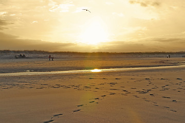 Image showing Crane Beach illuminated by the evening sun