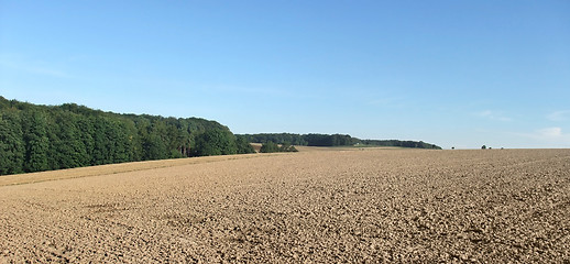 Image showing agricultural scenery