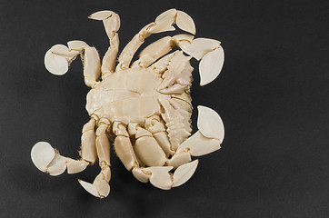 Image showing underside of a moon crab