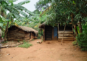 Image showing small village on a island in the Lake Victoria