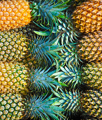 Image showing Pineapples.