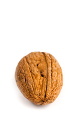 Image showing single fresh walnut 