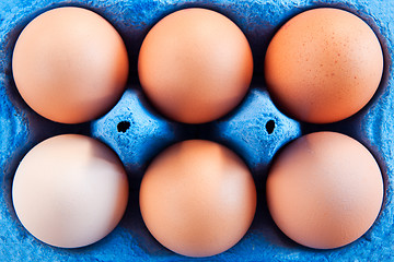 Image showing Eggs in carton