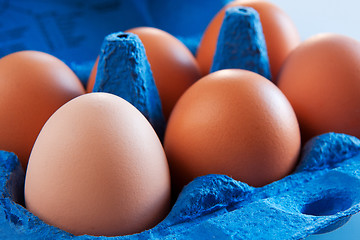 Image showing Eggs in carton