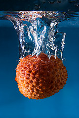 Image showing Litchi falling into the water