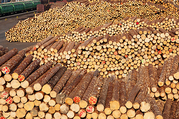 Image showing Pile of wood