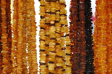 Image showing Amber Necklaces