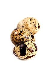 Image showing three quail eggs