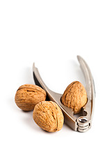 Image showing three walnuts and nutcracker 