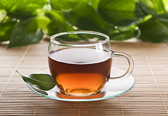 Image showing Tea