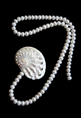 Image showing White pearls and nacreous cockleshell on the black velvet