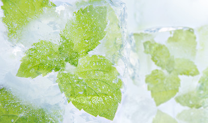 Image showing ice mint