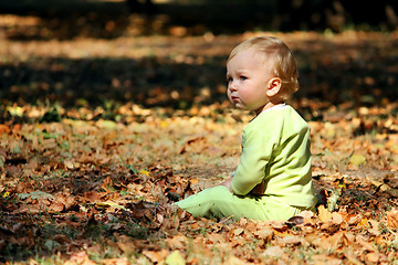 Image showing Boy on a leafs