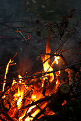 Image showing bonfire