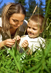 Image showing glean