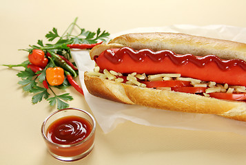 Image showing Chilli Hot Dog