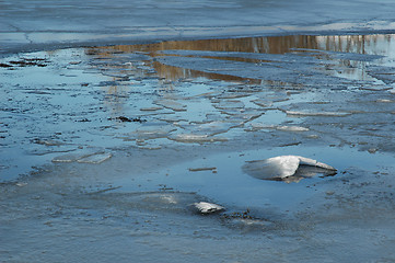 Image showing ice floe