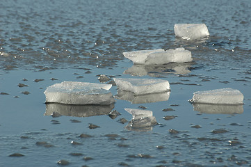 Image showing ice floe