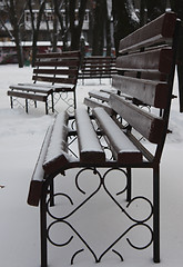 Image showing Empty benches in a winter park