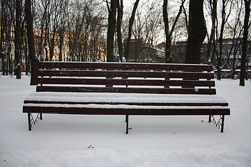 Image showing Empty bench in a winter park