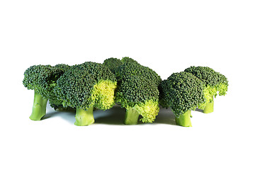 Image showing Broccoli isolated on the white