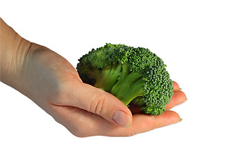 Image showing Broccoli isolated on the white