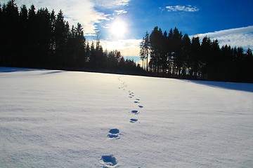 Image showing Footprints in the snow
