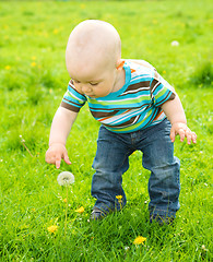 Image showing Little boy is playing on green meadow