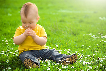 Image showing Little boy is sitting on green meadow