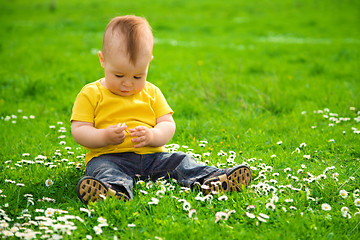 Image showing Little boy is sitting on green meadow