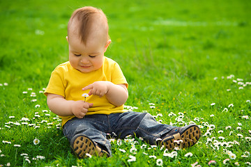 Image showing Little boy is sitting on green meadow