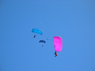 Image showing Parachutes