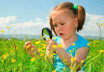 Image showing Little girl examining flowers using magnifier