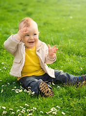 Image showing Little boy is sitting on green meadow