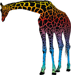 Image showing giraffe - abstract rainbow