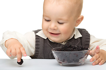 Image showing Little boy is eating blackberry
